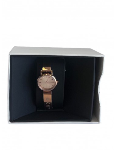 Watch Designer By Dkny Comparez plus de prix